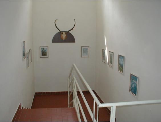 Restaurace A Pension Prvni Mlyn Хомутов Екстериор снимка