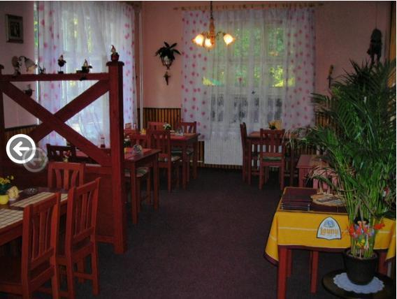 Restaurace A Pension Prvni Mlyn Chomutov Hotel Екстериор снимка